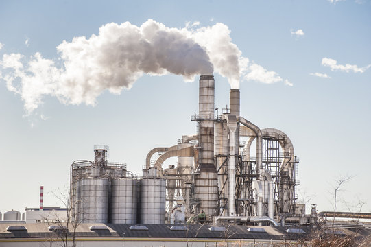 Crimson Gold™ Mini Watermelons – Premium Export-Grade