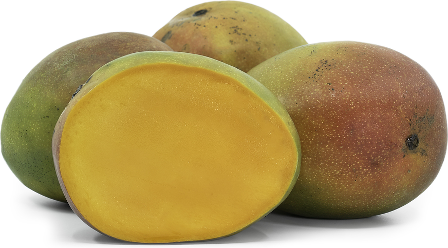 Premium Fresh Mango – Kent Variety