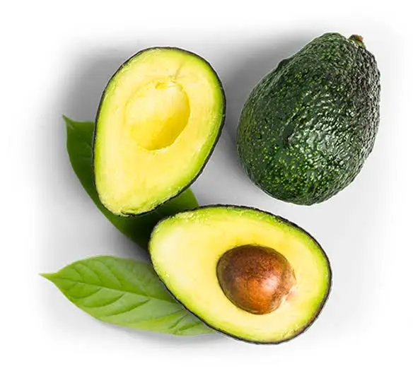 Fresh Hass Avocado – Export Quality